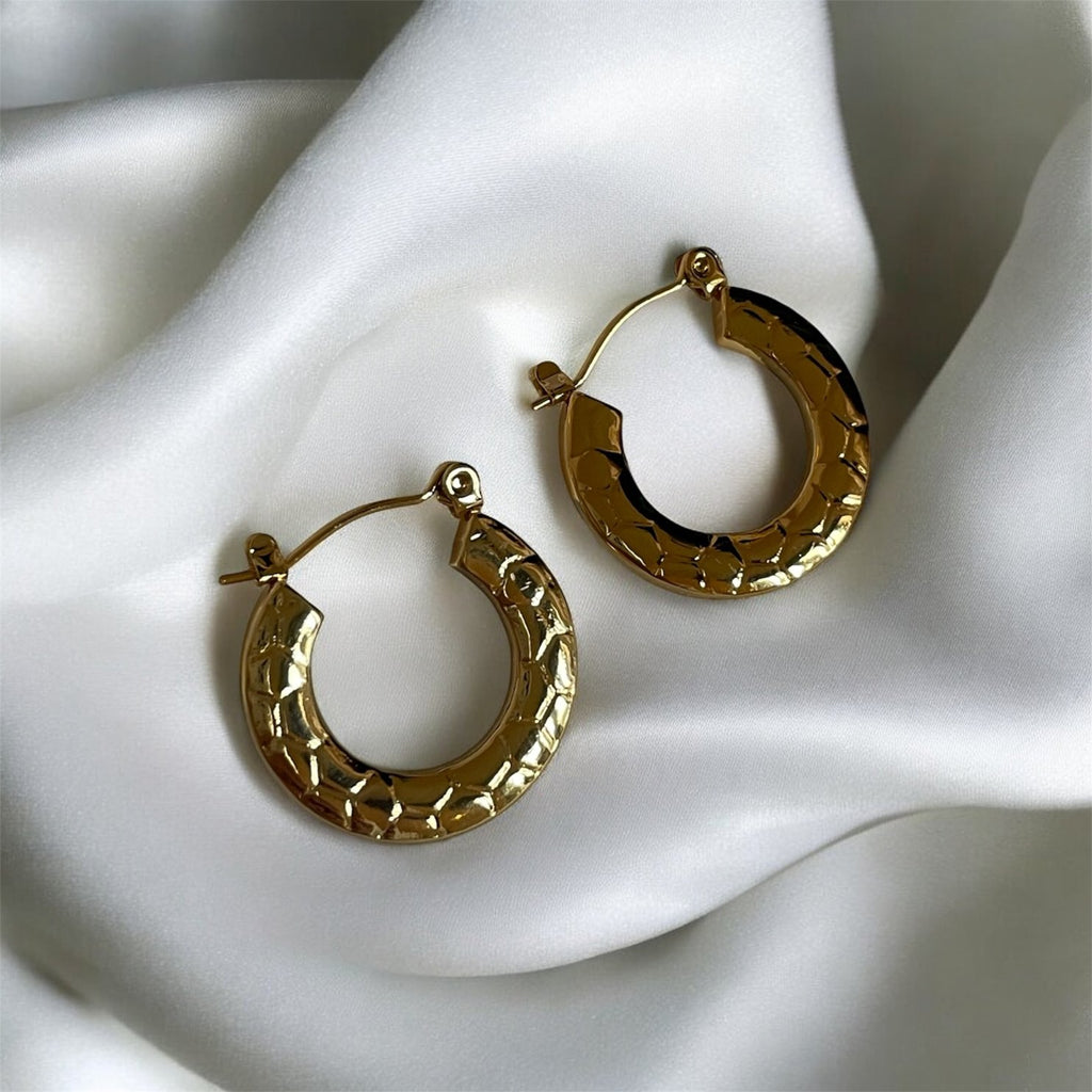 Boucles d'oreilles Distinction