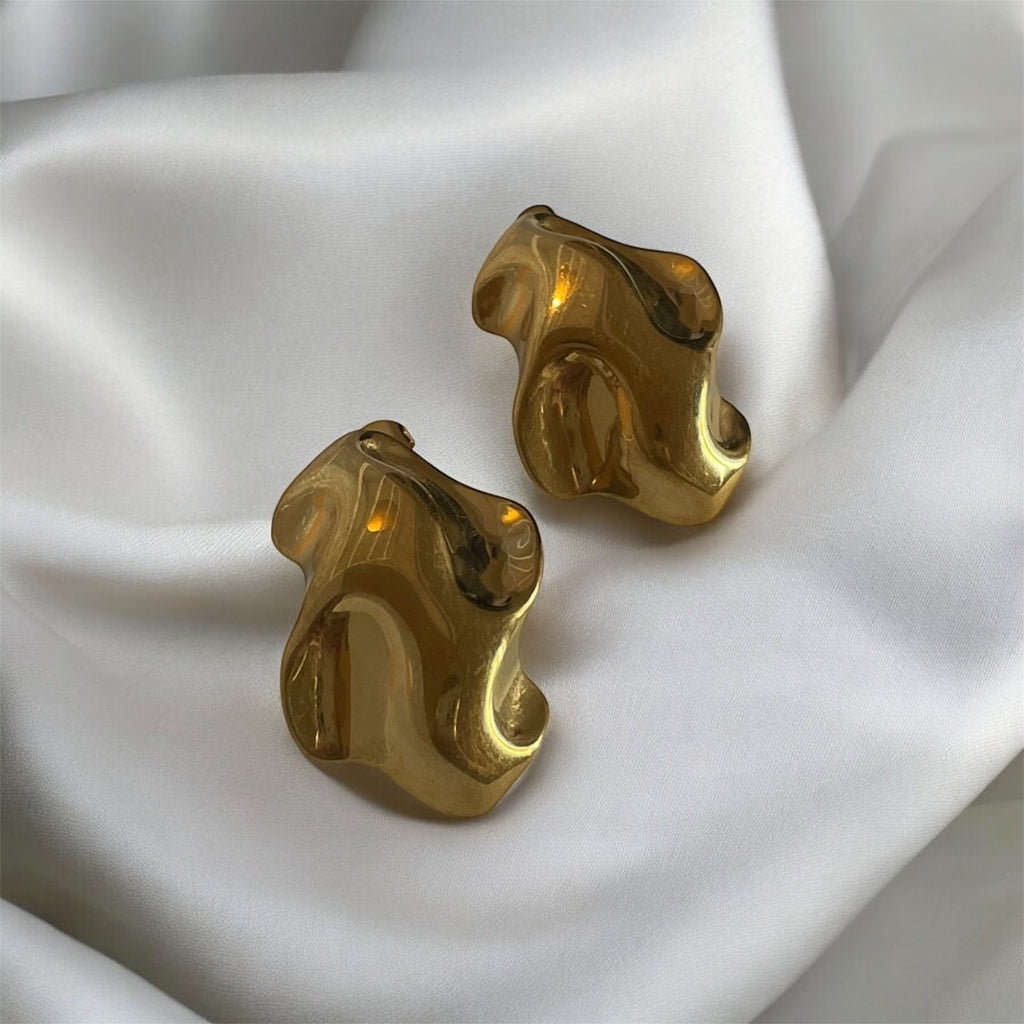 Boucles d'oreilles Évolution