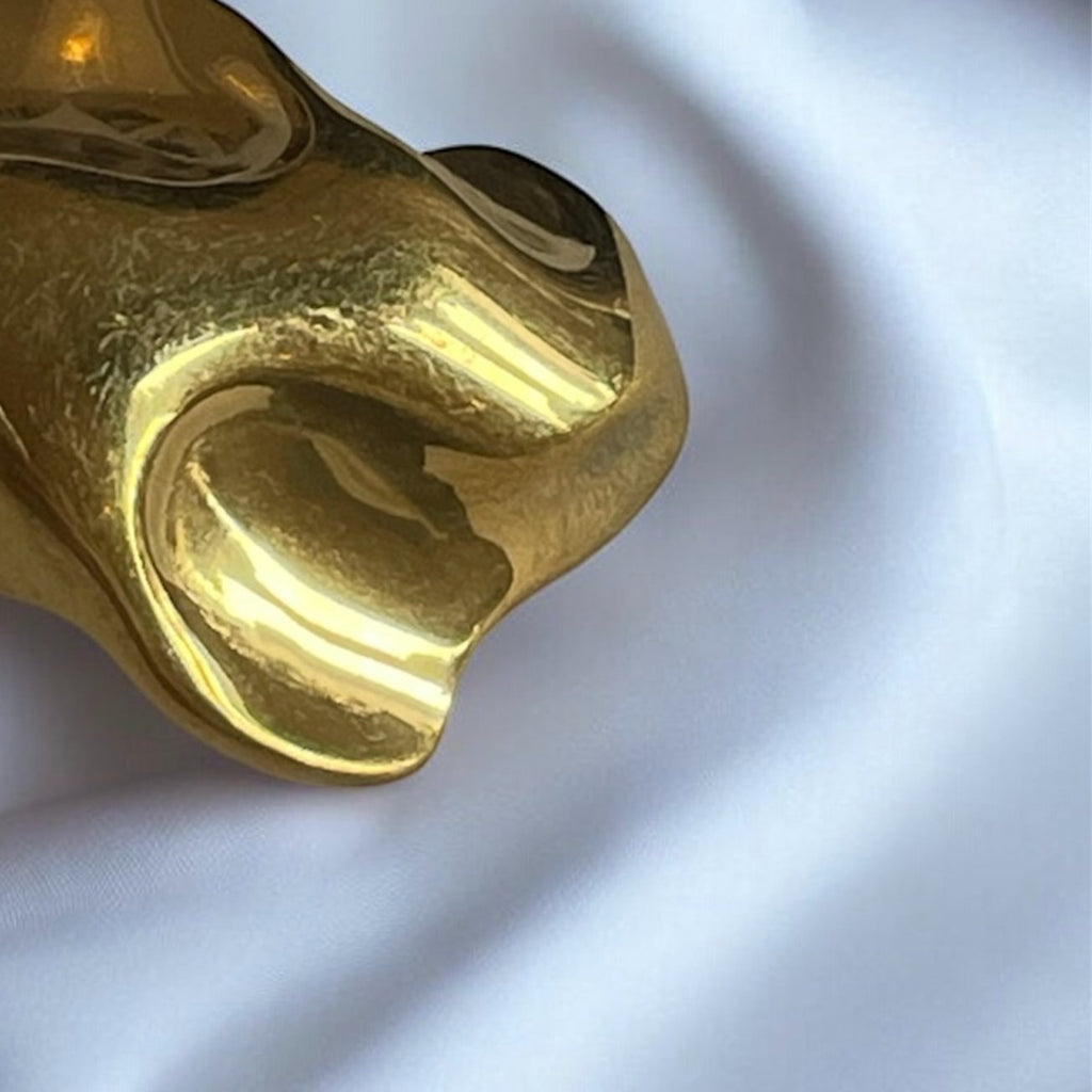 Boucles d'oreilles Évolution