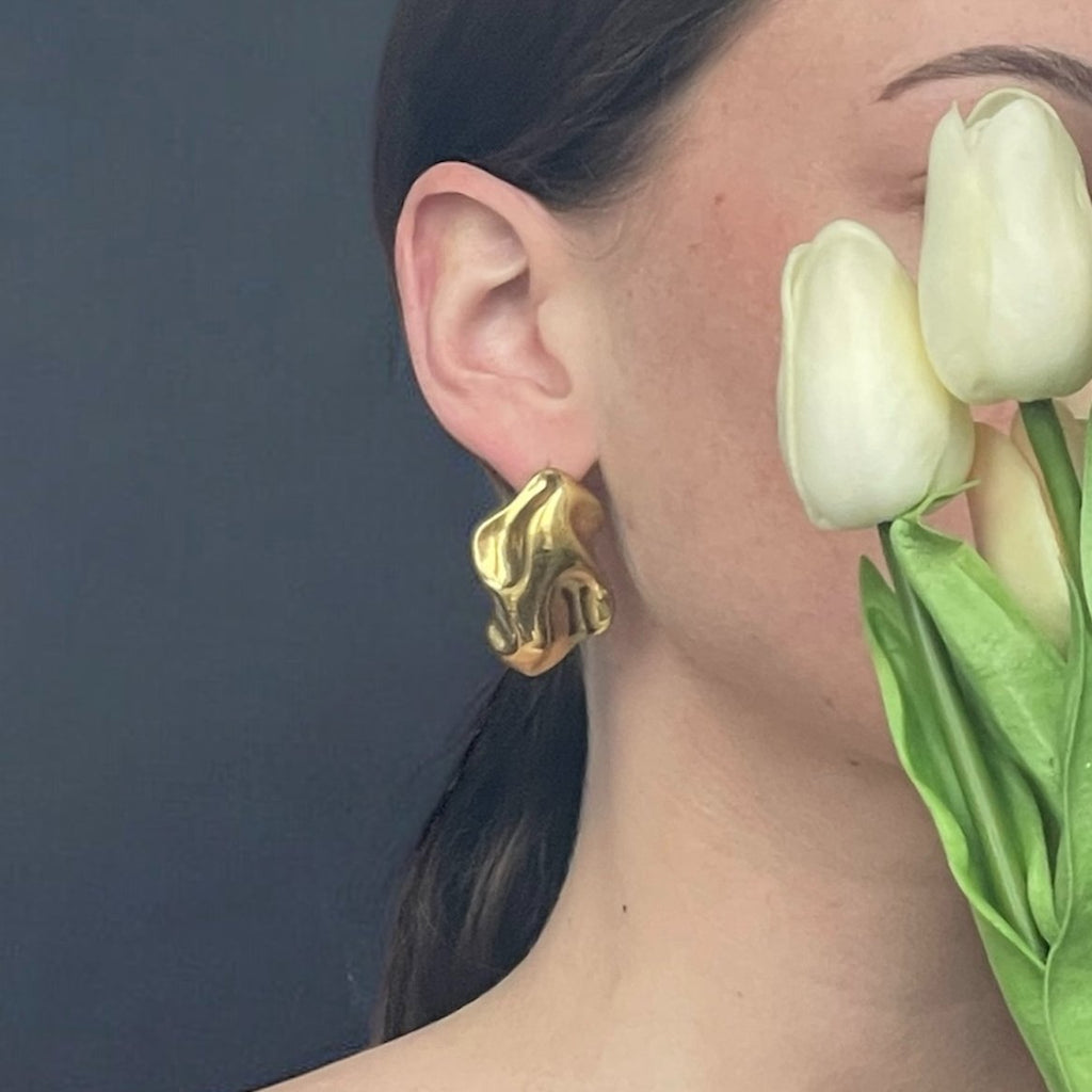 Boucles d'oreilles Évolution