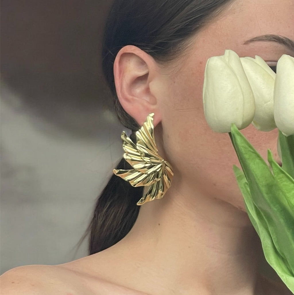 Boucles d'oreilles Expansion