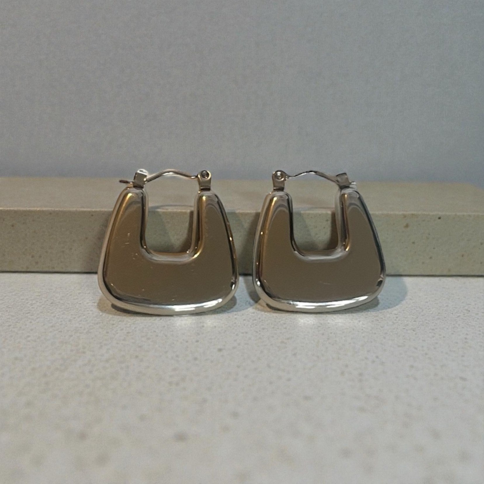 Boucles d'oreilles Intégrité