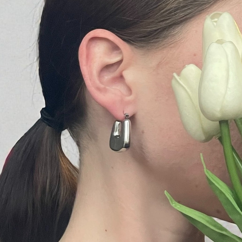 Boucles d'oreilles Intégrité