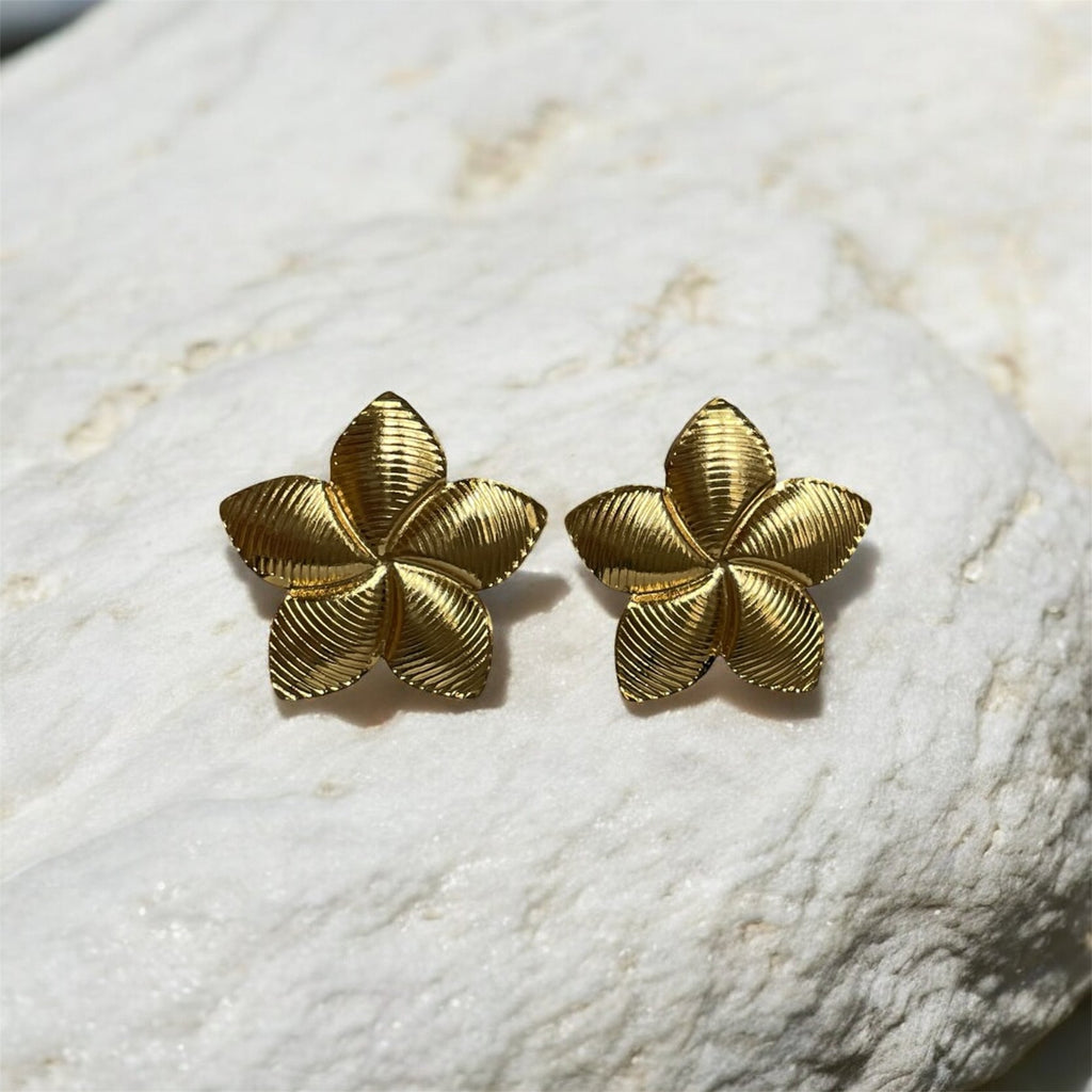 Boucles d'oreilles Renouveau